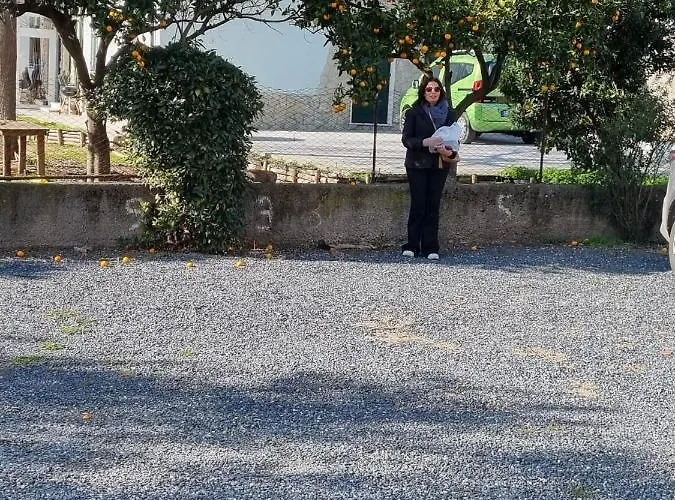 La Perle Marine Apartman *